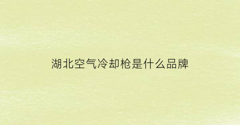 湖北空气冷却枪是什么品牌(空气冷却器项目)
