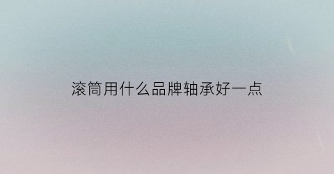 滚筒用什么品牌轴承好一点(滚筒轴的作用)
