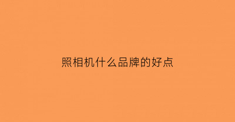 照相机什么品牌的好点