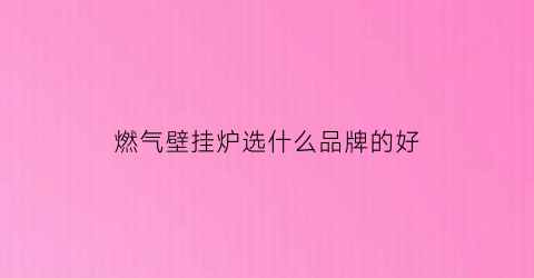 燃气壁挂炉选什么品牌的好(燃气壁挂炉什么品牌的好一点)