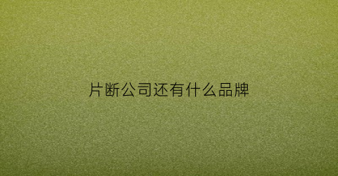 片断公司还有什么品牌(片断公司简介)