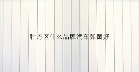 牡丹区什么品牌汽车弹簧好(什么品牌的汽车弹簧好)