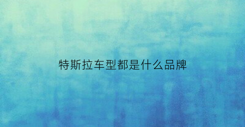 特斯拉车型都是什么品牌(特斯拉属哪个品牌汽车)