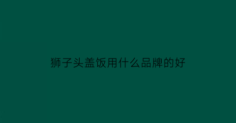 狮子头盖饭用什么品牌的好(狮子头包饭)