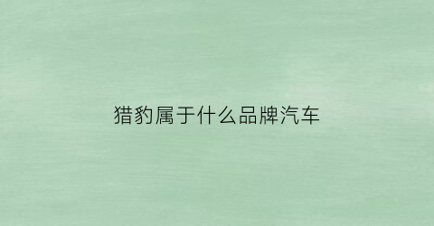 猎豹属于什么品牌汽车(猎豹汽车是什么牌子的车)