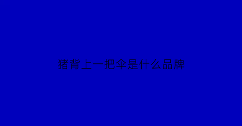 猪背上一把伞是什么品牌(猪背上一把伞是什么品牌的)