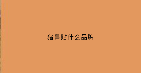 猪鼻贴什么品牌(猪鼻贴什么品牌好用)