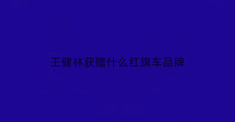 王健林获赠什么红旗车品牌(王健林换车)