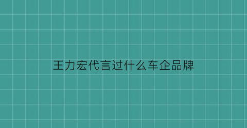 王力宏代言过什么车企品牌(王力宏代言过什么饮料)