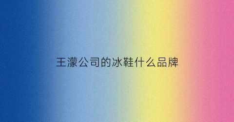 王濛公司的冰鞋什么品牌(滑冰王濛访谈节目)