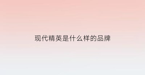 现代精英是什么样的品牌(现代精英受)