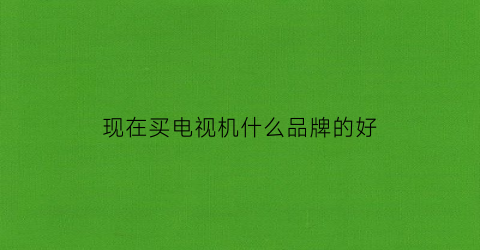 现在买电视机什么品牌的好(现在买电视机什么品牌的好一点)