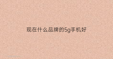 现在什么品牌的5g手机好(现在什么5g手机好用性价比高)