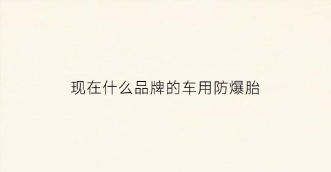 现在什么品牌的车用防爆胎