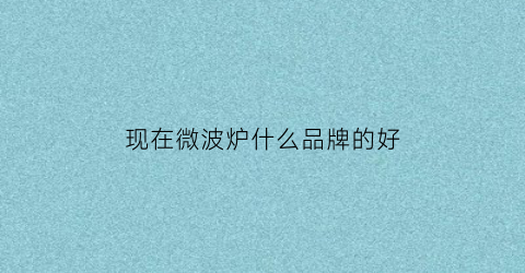 现在微波炉什么品牌的好(微波炉什么品牌好一点)