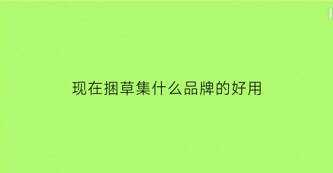 现在捆草集什么品牌的好用(草捆多少钱一捆)