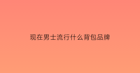 现在男士流行什么背包品牌(今年男士流行背什么包包)