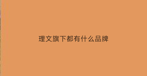 理文旗下都有什么品牌