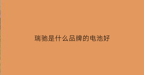 瑞驰是什么品牌的电池好(瑞驰新能源电池怎么样)