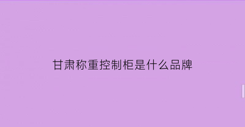 甘肃称重控制柜是什么品牌(称重控制器品牌)