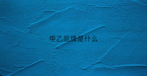 甲乙品牌是什么(减震漏油表现)