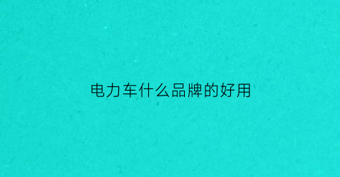 电力车什么品牌的好用(电动力什么牌子好)