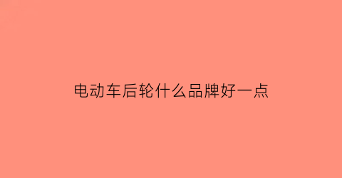 电动车后轮什么品牌好一点(电动车后轮叫什么名字)