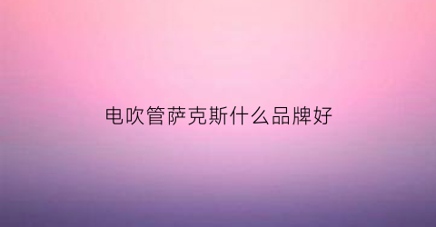 电吹管萨克斯什么品牌好(电吹管与电萨克斯的区别)
