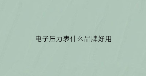 电子压力表什么品牌好用(电子压力表价格)