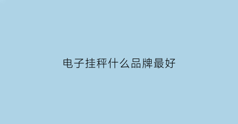 电子挂秤什么品牌最好(电子挂钩秤价格)