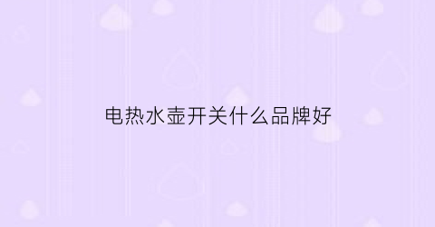 电热水壶开关什么品牌好(电热水壶的开关是什么原理)