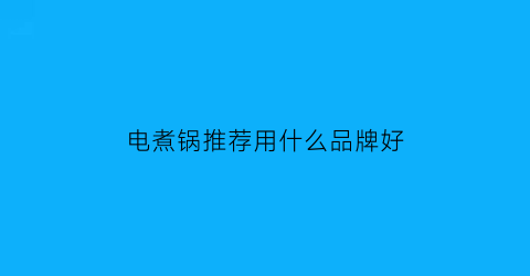 电煮锅推荐用什么品牌好