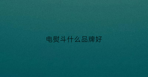 电熨斗什么品牌好(电熨斗什么品牌好用)