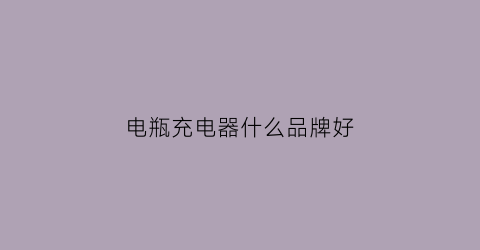 电瓶充电器什么品牌好(电瓶充电器什么品牌好)