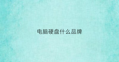 电脑硬盘什么品牌(硬盘什么牌子质量好)