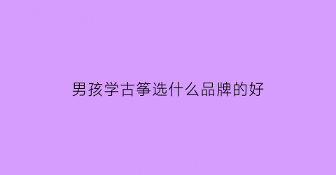 男孩学古筝选什么品牌的好(男孩适合学古筝)