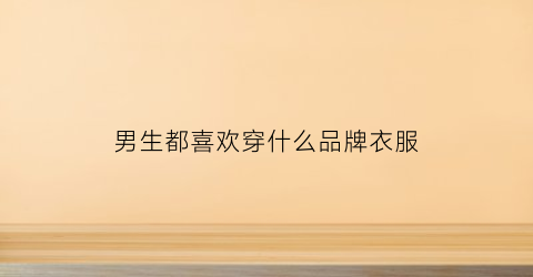 男生都喜欢穿什么品牌衣服(男生都喜欢穿什么品牌衣服图片)