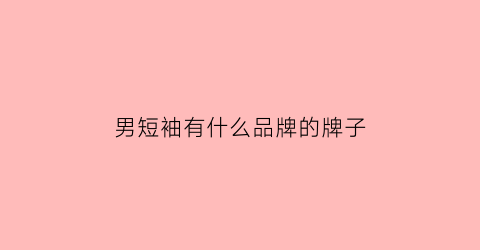 男短袖有什么品牌的牌子(男士短袖品牌推荐)