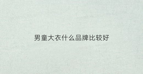 男童大衣什么品牌比较好(大男童外套)