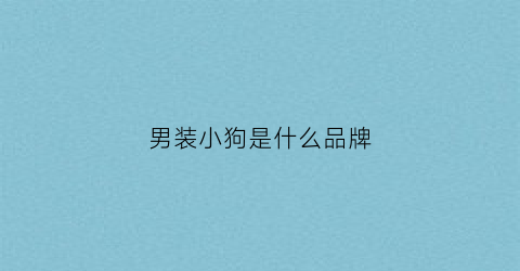 男装小狗是什么品牌(男装小狗)