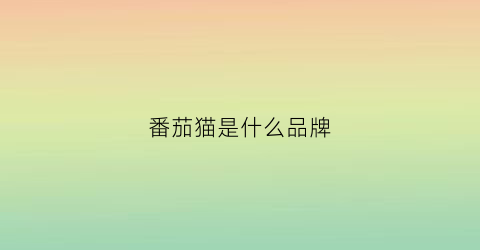 番茄猫是什么品牌(番茄猫什么意思)