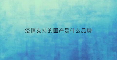 疫情支持的国产是什么品牌