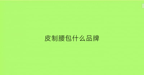 皮制腰包什么品牌