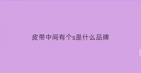 皮带中间有个s是什么品牌(皮带中间有个s是什么品牌的)