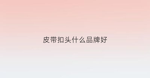皮带扣头什么品牌好(皮带扣哪个品牌好)