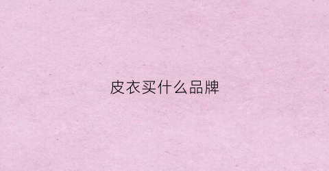 皮衣买什么品牌(皮衣买什么品牌比较好)