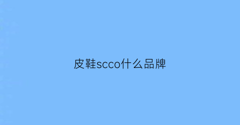 皮鞋scco什么品牌(ceco皮鞋)