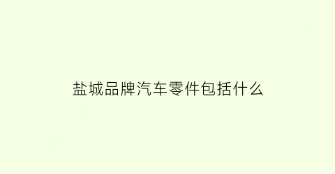 盐城品牌汽车零件包括什么(盐城汽车零部件制造有限公司)