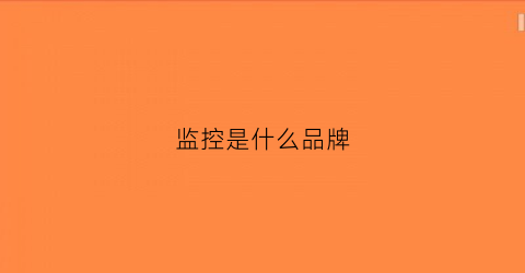 监控是什么品牌(监控器什么品牌)