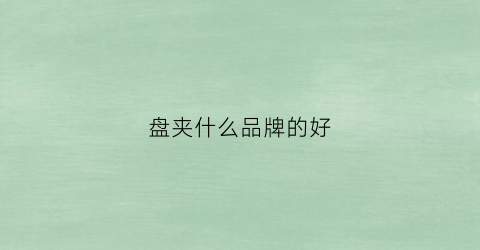 盘夹什么品牌的好(夹盘器哪个牌子好)